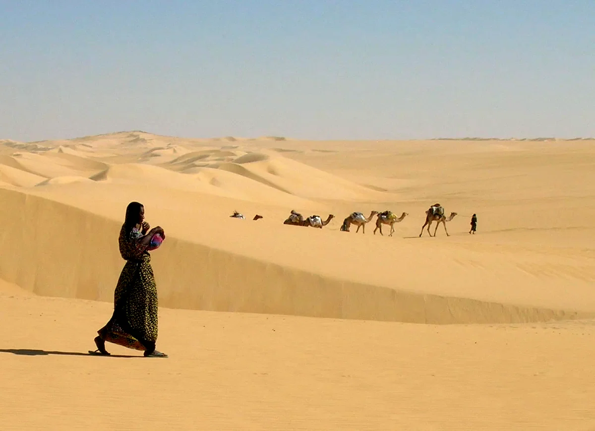 Photo 10 du film : Vents de sable, femmes de roc