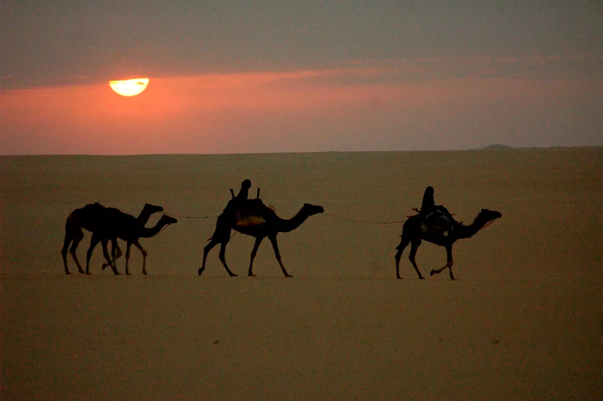 Photo 13 du film : Vents de sable, femmes de roc