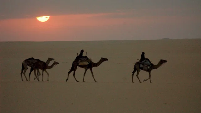 Photo du film : Vents de sable, femmes de roc