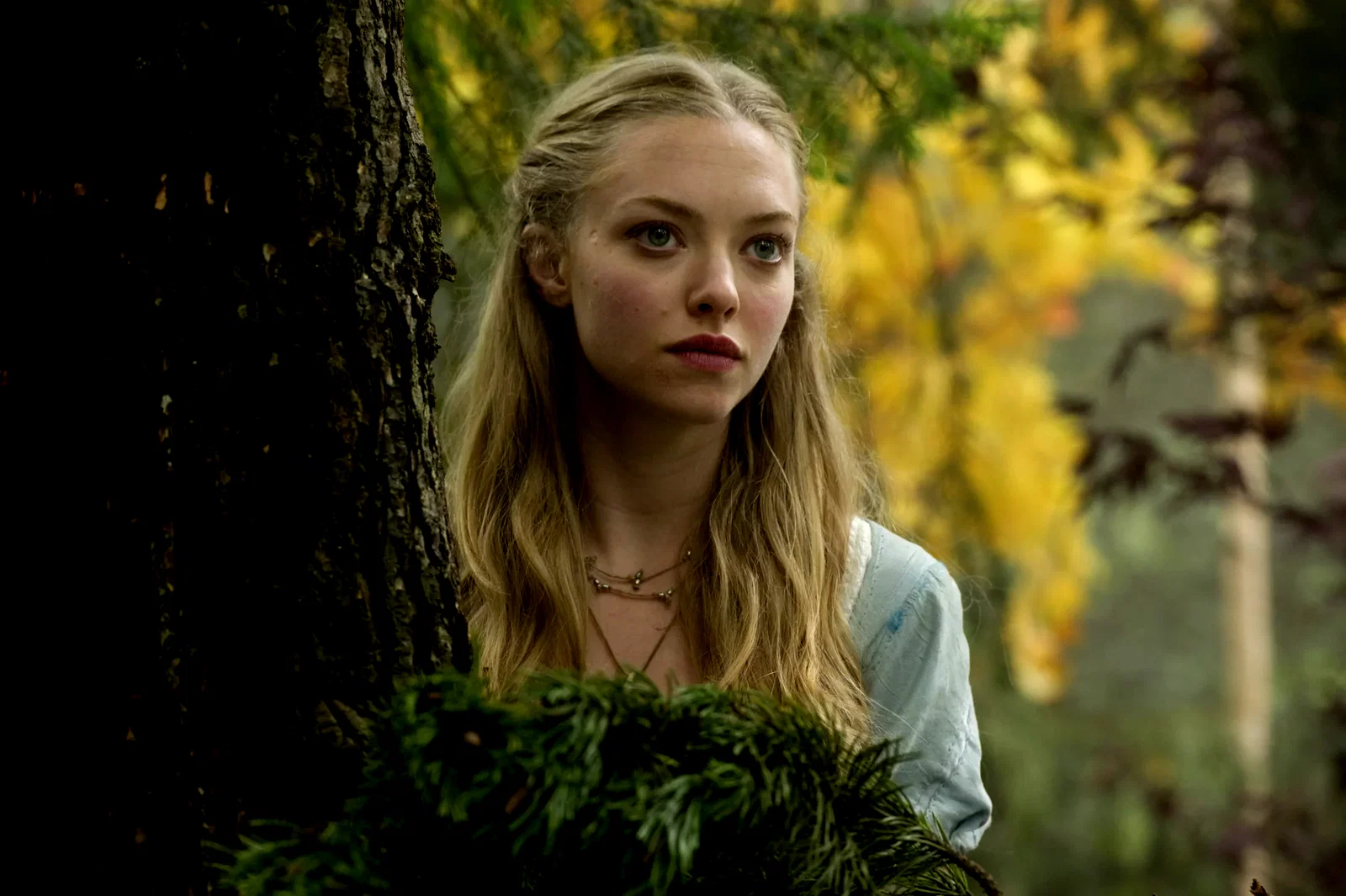 Photo 13 du film : Le  Chaperon rouge