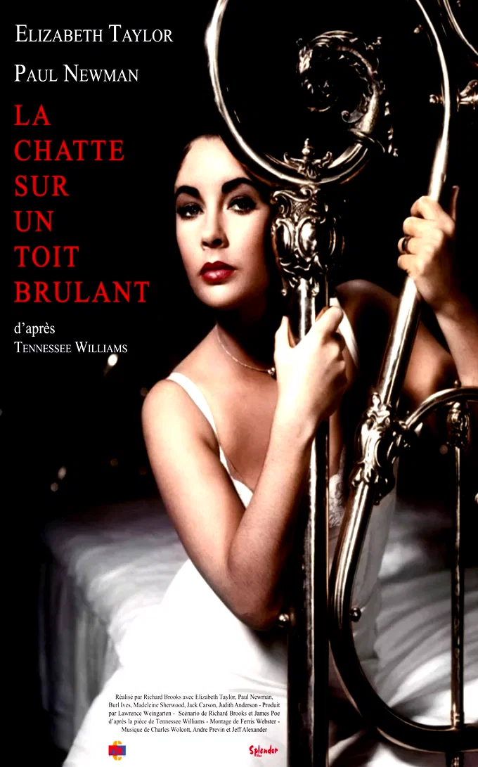Affiche du film : La Chatte sur un toit brûlant