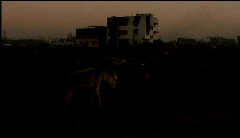 Photo 2 du film : Gaza-Strophe, Palestine
