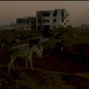 Photo du film : Gaza-Strophe, Palestine