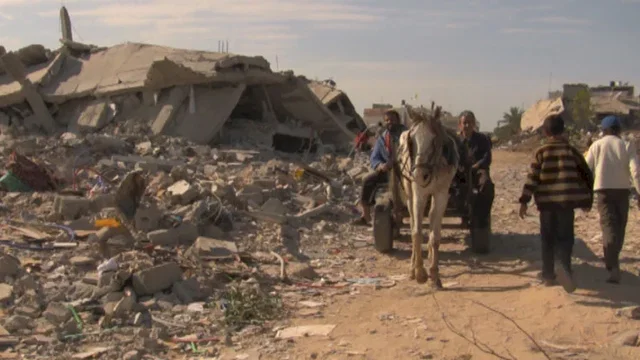 Photo 7 du film : Gaza-Strophe, Palestine