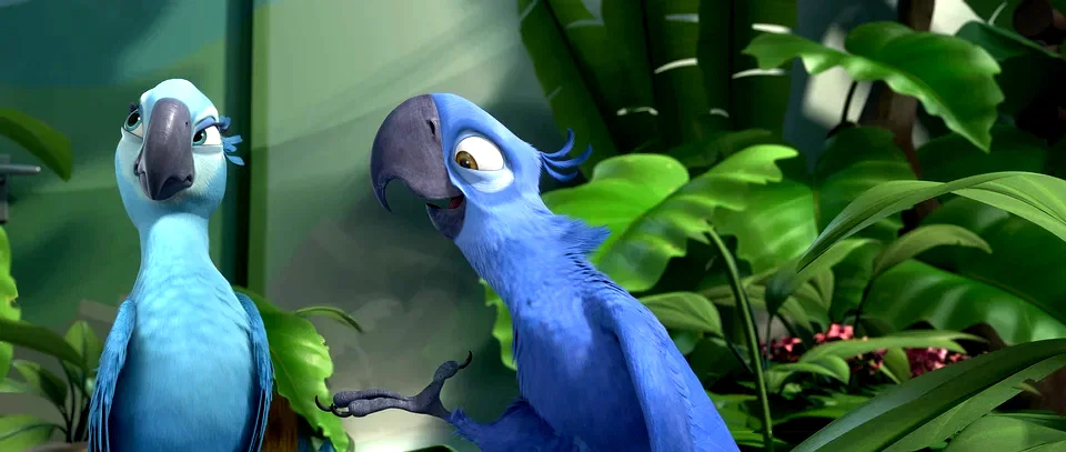 Photo 2 du film : Rio (3D) 