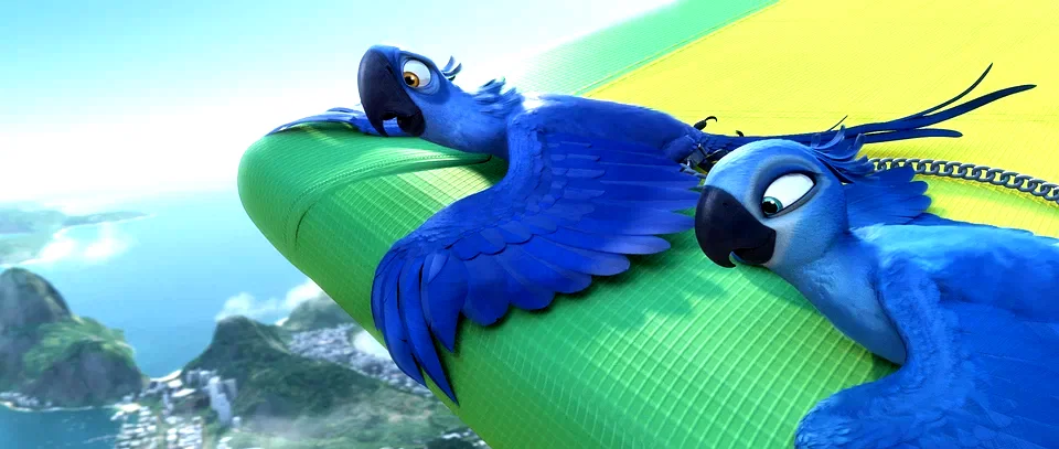 Photo 12 du film : Rio (3D) 