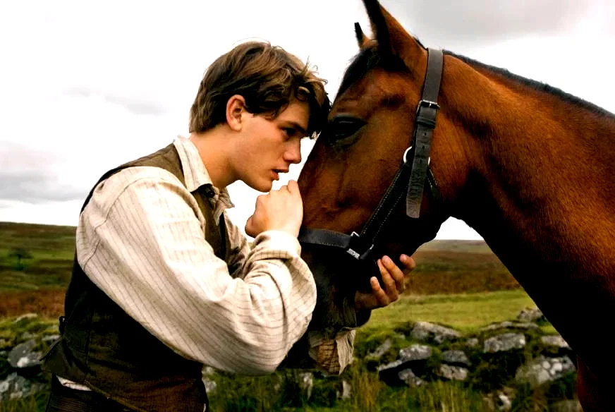 Photo 3 du film : Cheval de guerre