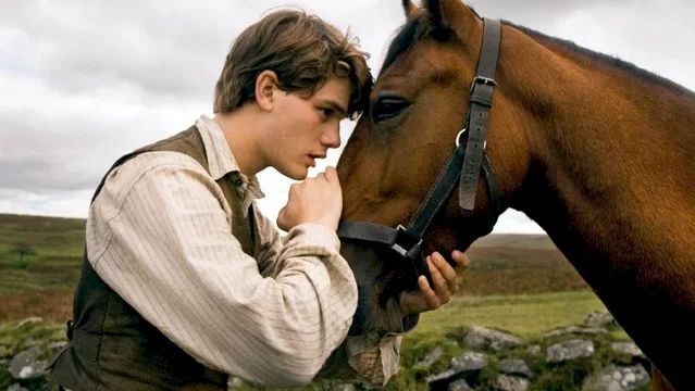 Photo du film : Cheval de guerre