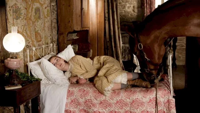 Photo du film : Cheval de guerre