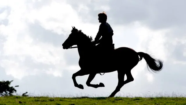 Photo du film : Cheval de guerre