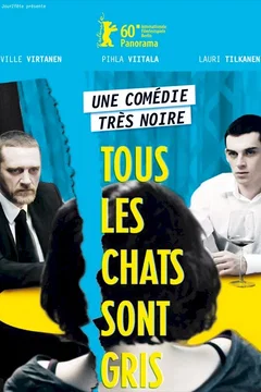 Affiche du film Tous les chats sont gris