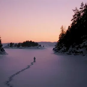 Photo du film : Essential killing