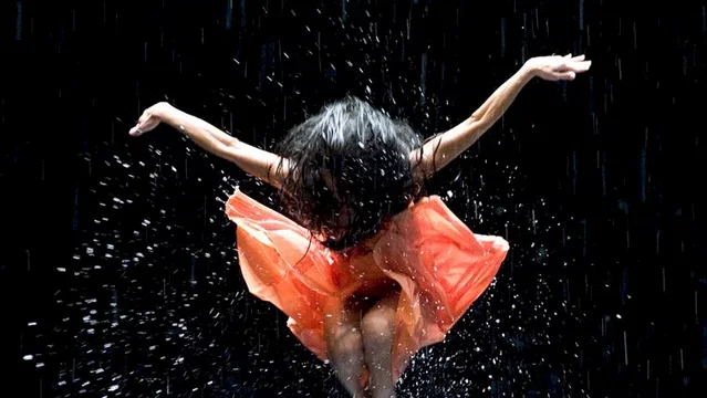 Affiche du film : Pina