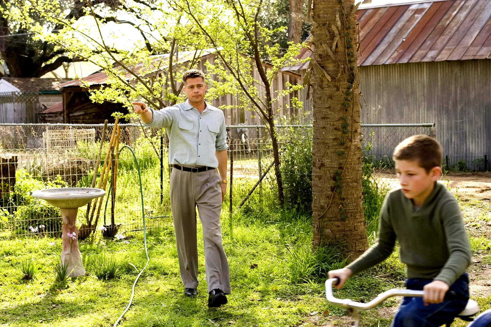 Photo 3 du film : The Tree of Life