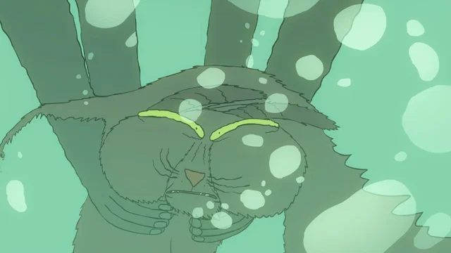 Photo du film : Le chat du Rabbin