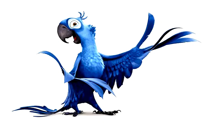 Photo 20 du film : Rio (3D) 