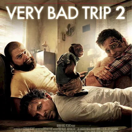 Miniature photo du film : Very Bad Trip 2