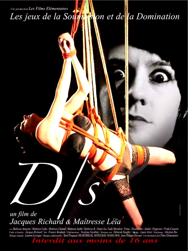 Affiche du film : D/S