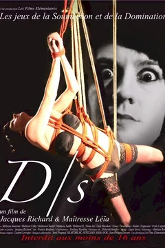 Affiche du film D/S