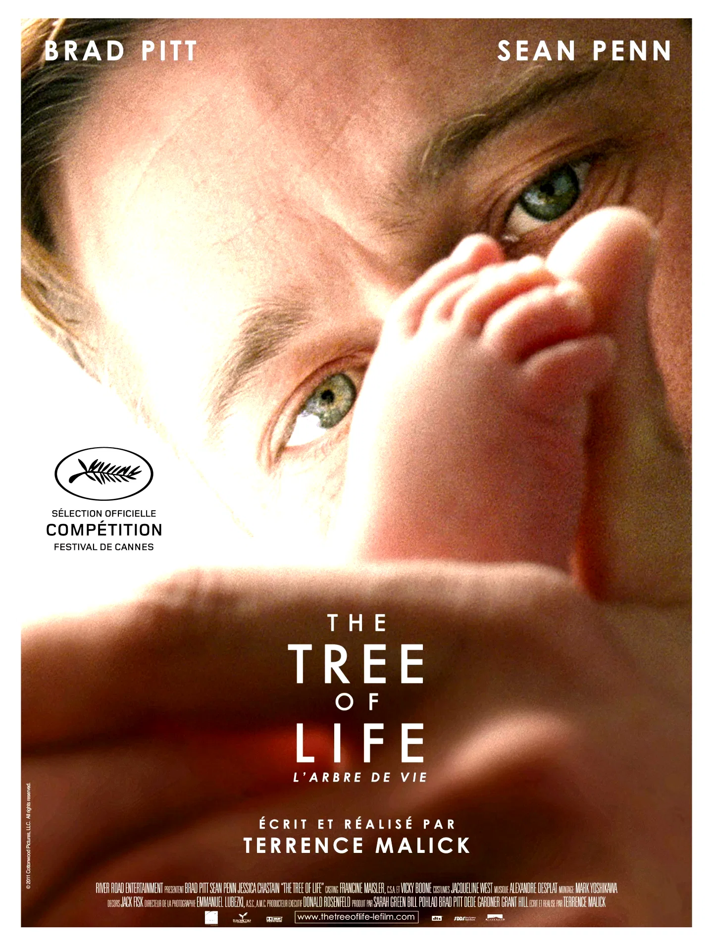 Affiche du film : The Tree of Life