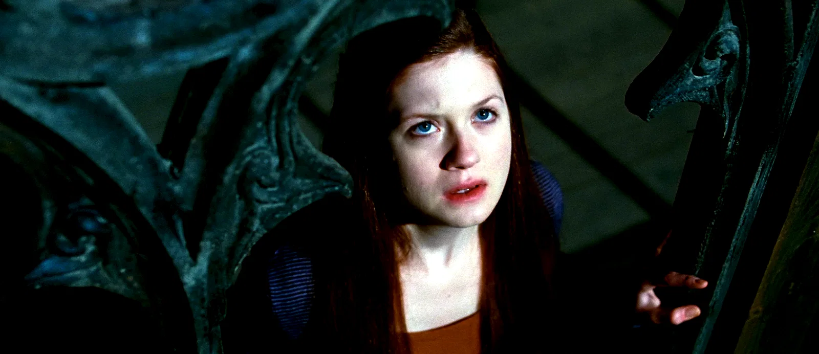 Photo du film : Harry Potter et les reliques de la mort - Partie 2