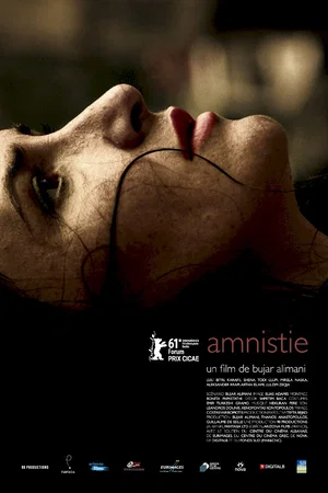 Affiche du film : Amnistie