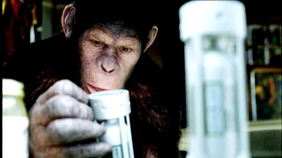 Photo 2 du film : La planète des singes : les origines 
