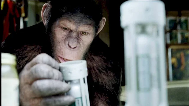 Photo du film : La planète des singes : les origines 
