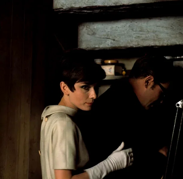 Photo 6 du film : Comment voler un million de dollars