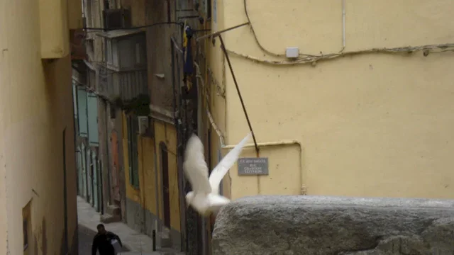 Photo du film : Acqua in bocca