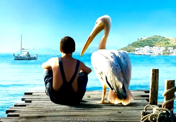 Photo du film : Nicostratos, le pélican