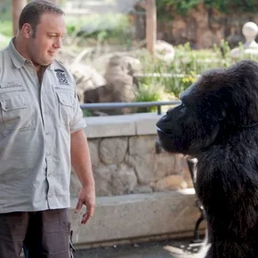 Photo du film : Zookeeper