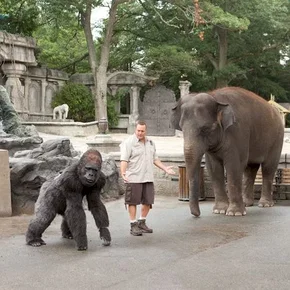 Photo du film : Zookeeper