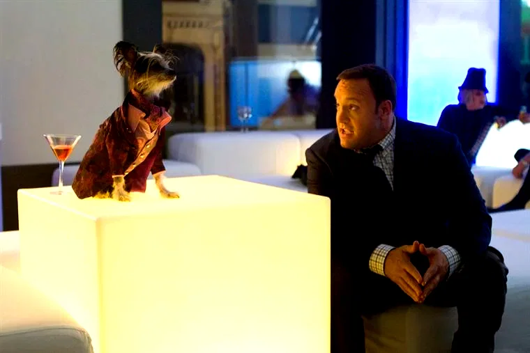 Photo 16 du film : Zookeeper