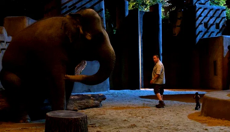 Photo 21 du film : Zookeeper