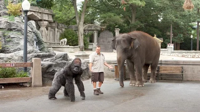 Photo 24 du film : Hanna