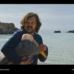 Photo du film : Nicostratos, le pélican