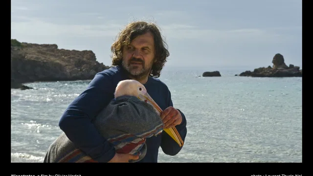 Photo 4 du film : Nicostratos, le pélican