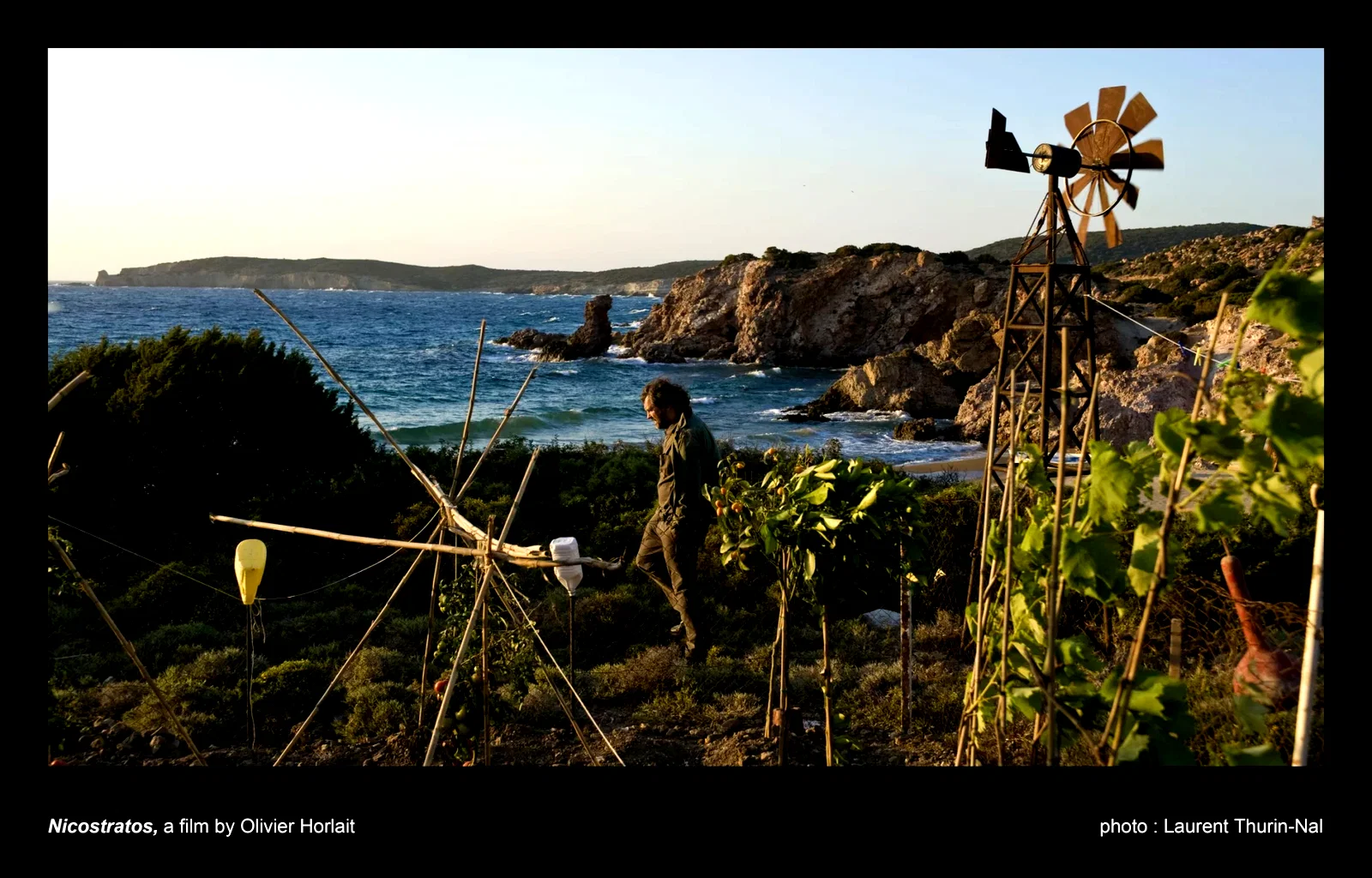 Photo du film : Nicostratos, le pélican