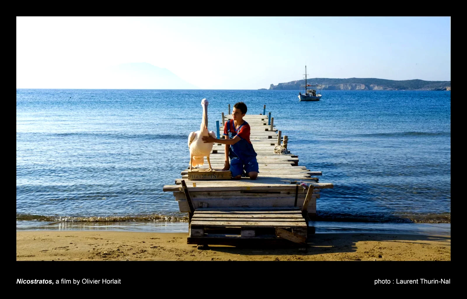 Photo du film : Nicostratos, le pélican