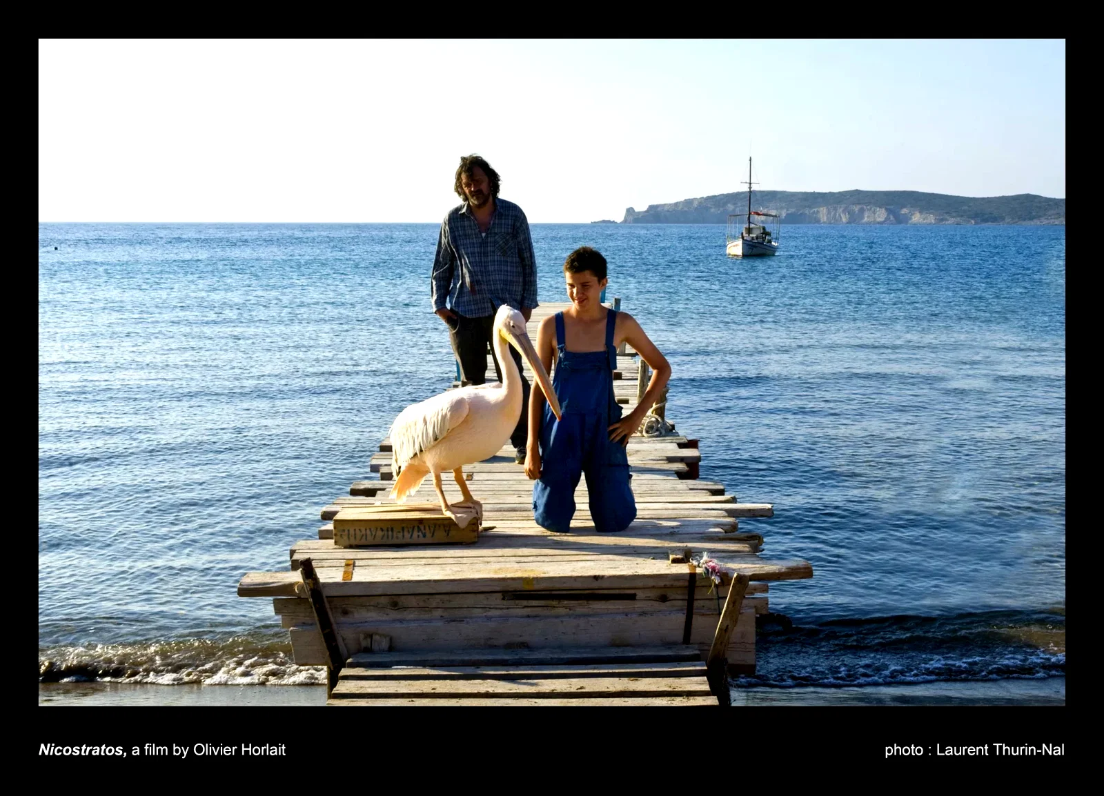 Photo du film : Nicostratos, le pélican