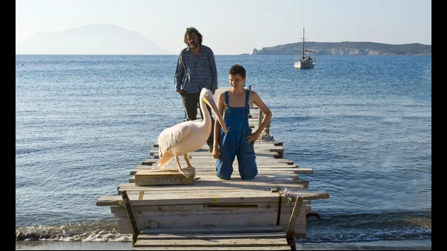 Photo 7 du film : Nicostratos, le pélican