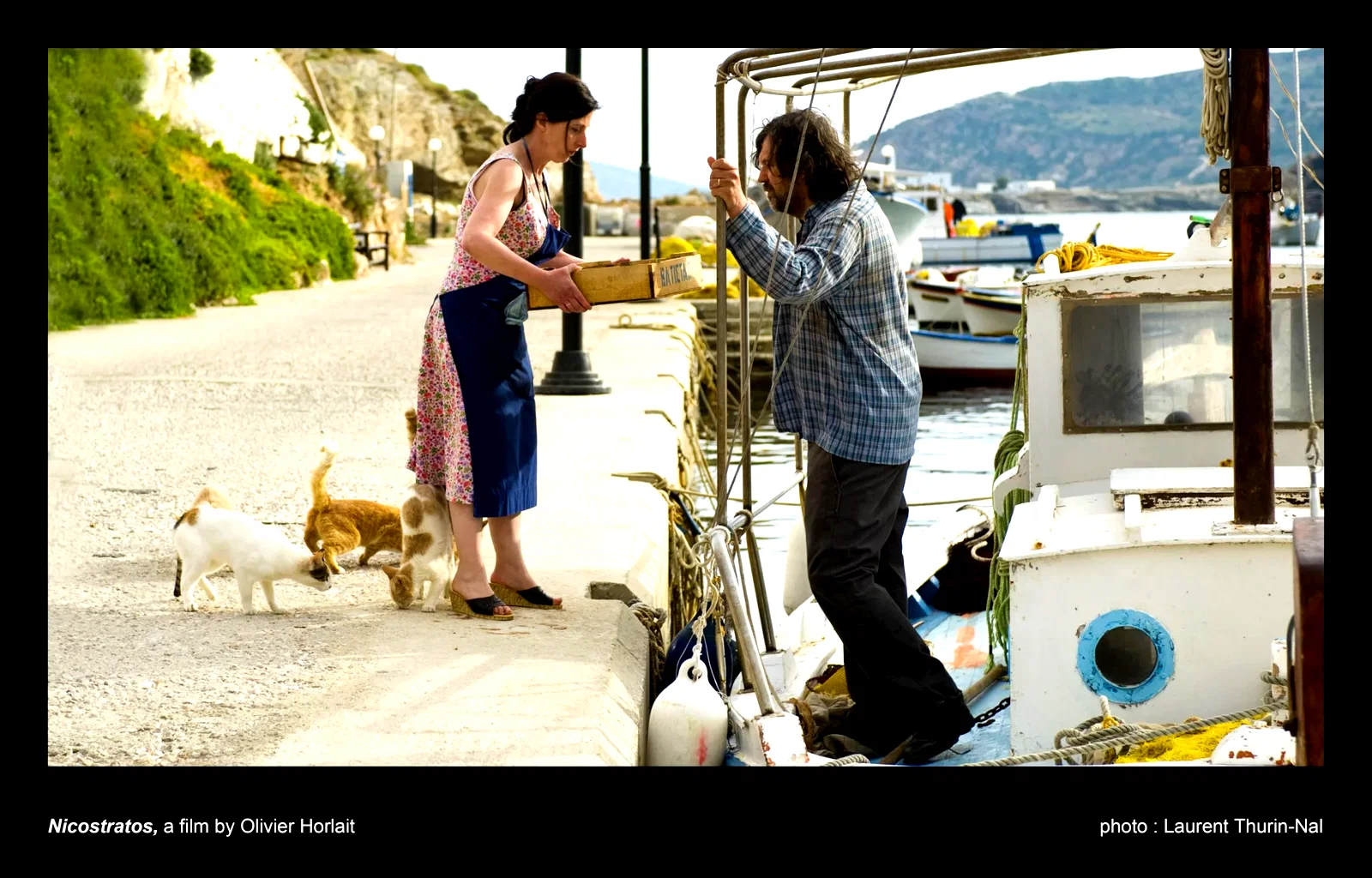 Photo du film : Nicostratos, le pélican
