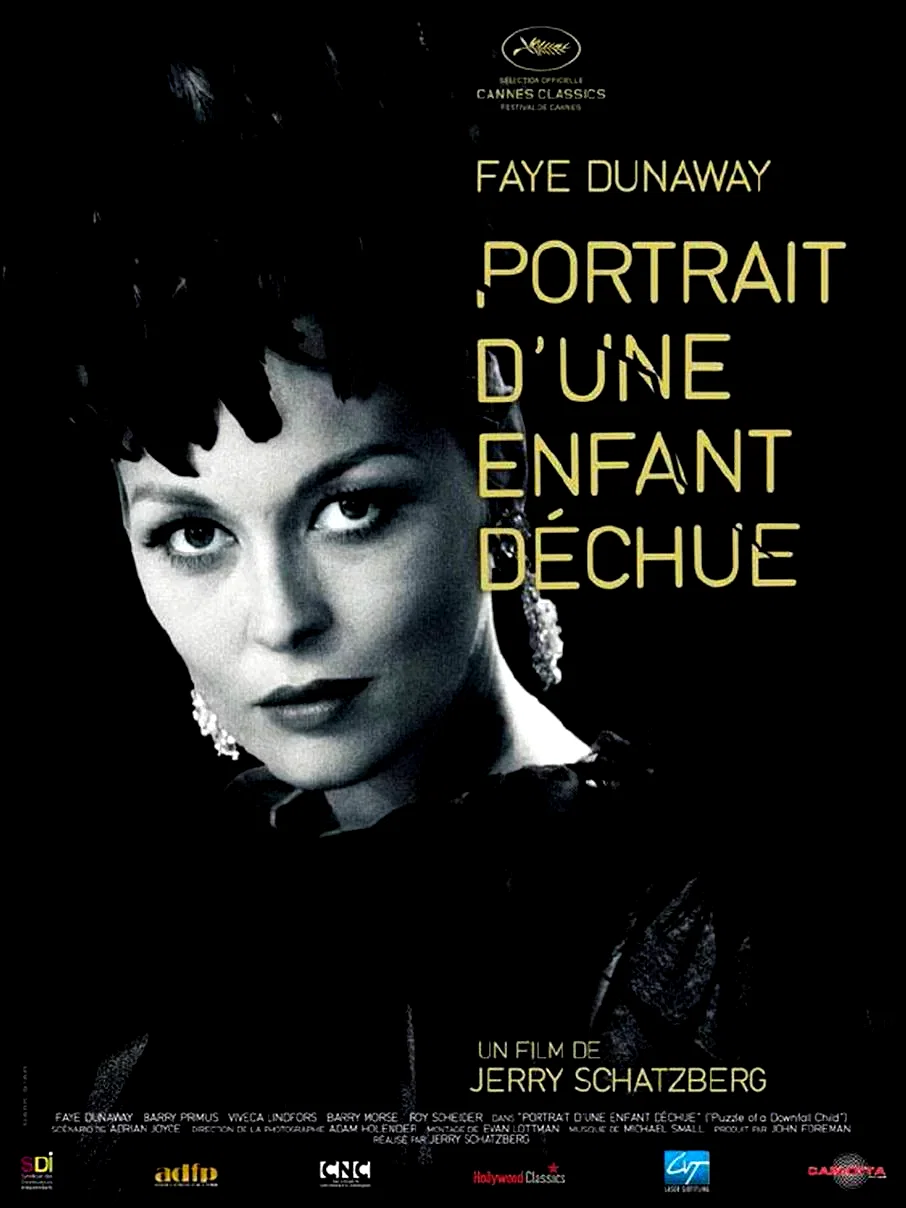 Affiche du film : Portrait d'une enfant déchue