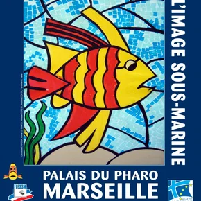 Photo du film : Festival mondial de l'image sous-marine