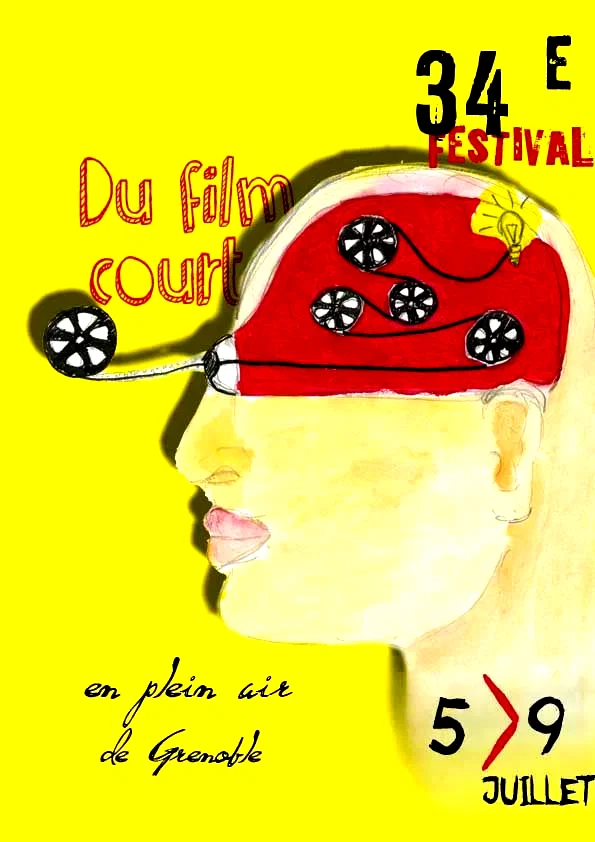 Affiche du film : Festival du court métrage en plein air de Grenoble