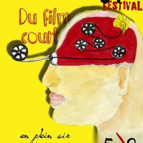 Photo du film : Festival du court métrage en plein air de Grenoble