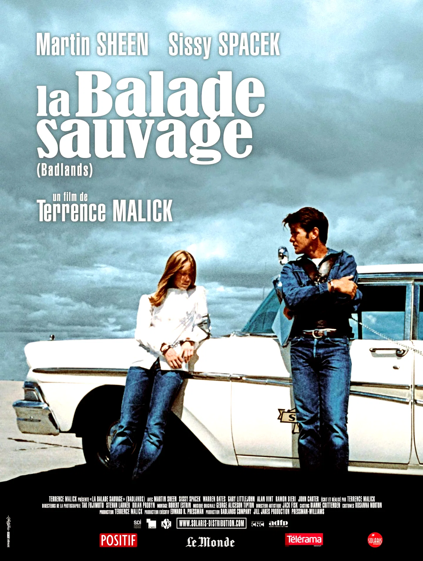 Affiche du film : La balade sauvage