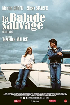 Affiche du film La balade sauvage