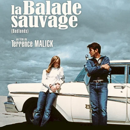 Miniature photo du film : La balade sauvage